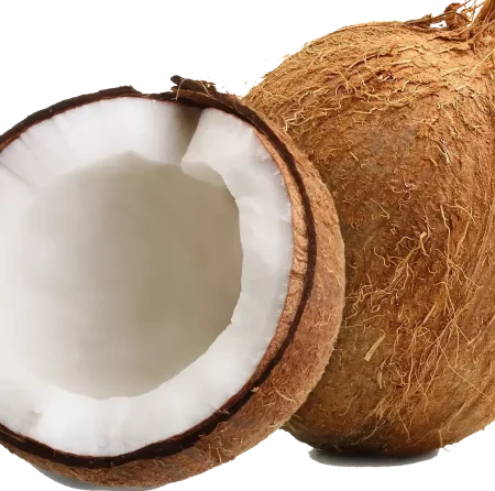 Thai Special Coconut, each
