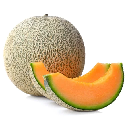 Honeydew Fresh Melon